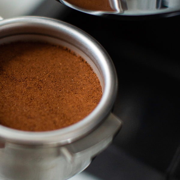 Coffee Grinder La Marzocco Swift Mini - LA FORTUNA GOURMET